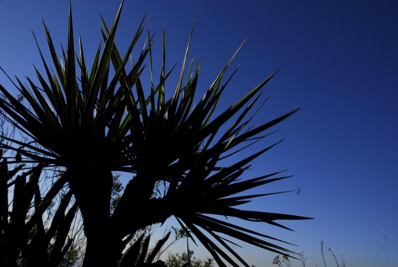 Serviços: Parque Estadual Serra do Rola Moça | Estrada Real