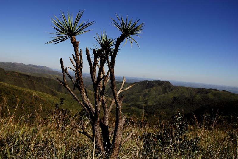Parque Estadual Serra do Rola Moça | Estrada Real